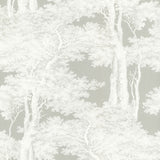 Advantage 2773-605433 Scout Grey Forest Wallpaper