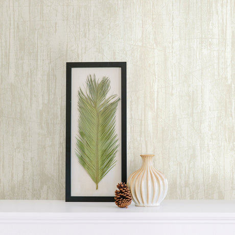 Advantage 2774-480917 Catskill Beige Distressed Wood Wallpaper