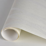 A-Street Prints 2782-24514 Coventry Eggshell Trellis Wallpaper