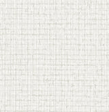 A-Street Prints 2785-24851 Platinum Palm Weave Wallpaper