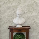 Advantage 2810-LH01606 Reyne Taupe Marble  Wallpaper