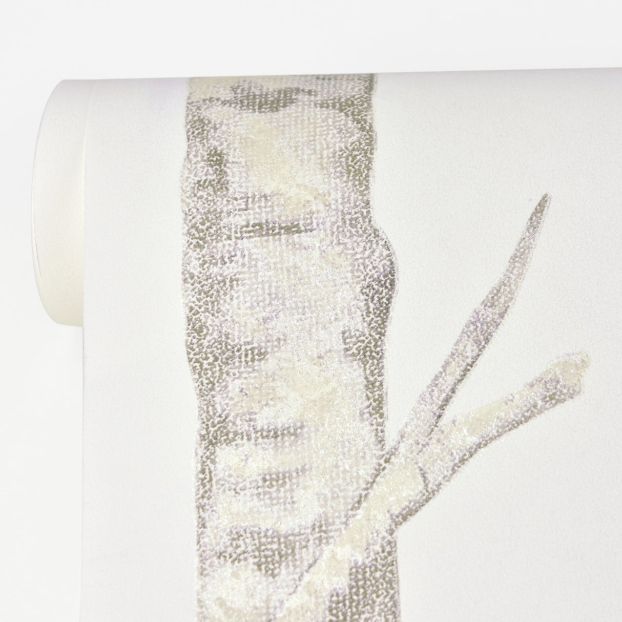 Advantage 2811-BLW10501 Cameron Off-White Trees Wallpaper