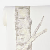 Advantage 2811-BLW10501 Cameron Off-White Trees Wallpaper