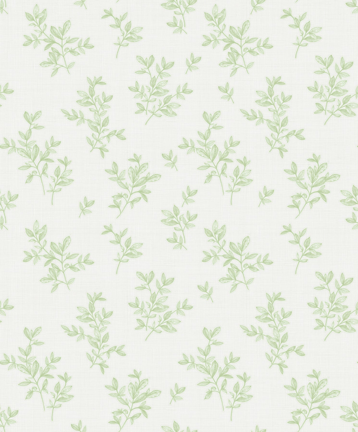 Advantage 2811-LV04204 Pothos Light Green Toss Wallpaper