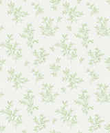 Advantage 2811-LV04204 Pothos Light Green Toss Wallpaper