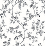 Advantage 2813-24976 Ray Black Bird Trail Wallpaper