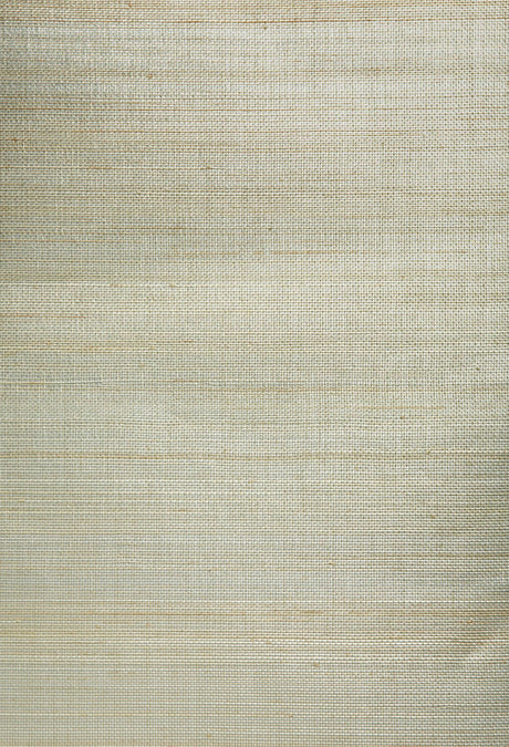 Eade’s Pearl River Champagne Grasscloth Wallpaper Champagne