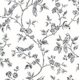 Advantage 2836-24976 Ophelia Black Bird Trail Wallpaper
