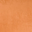 Eade’s # 50 APRICOT