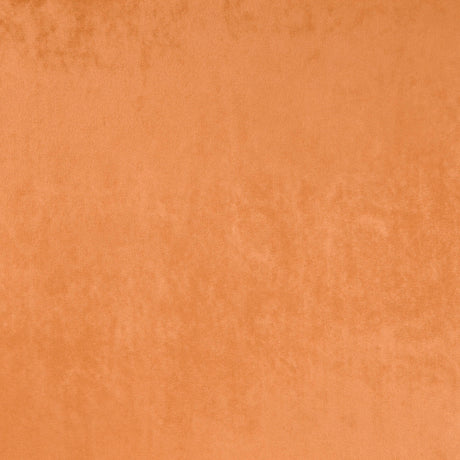 Eade’s # 50 APRICOT