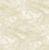A-Street Prints 2861-25712 Bode Beige Cloud Wallpaper