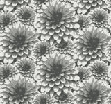 A-Street Prints 2861-87518 Umbra Charcoal Floral Wallpaper