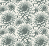 A-Street Prints 2861-87520 Umbra Teal Floral Wallpaper