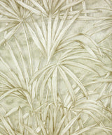 Brewster 2871-88759 Veneto Ivory Palm Tree Wallpaper