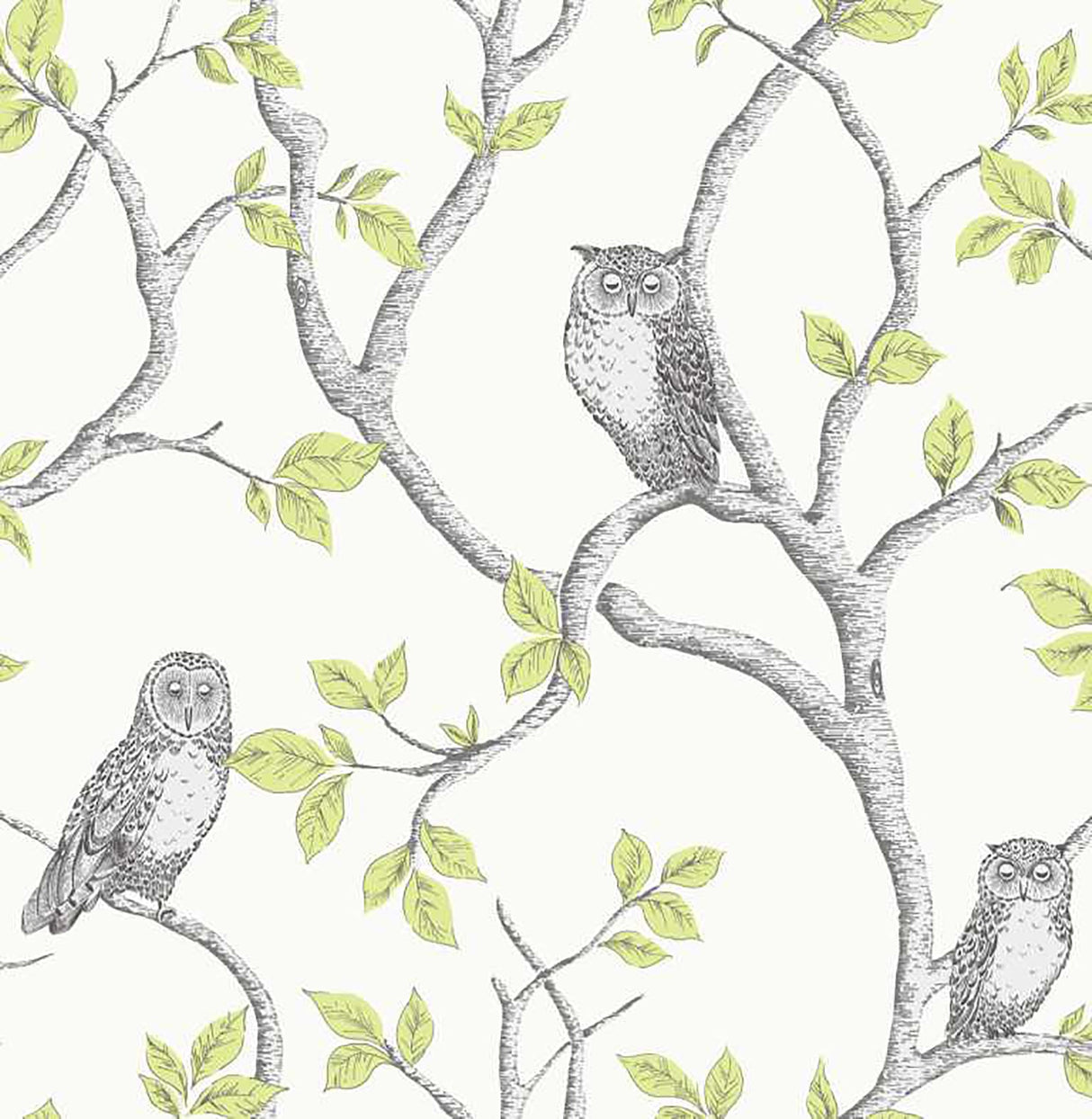 Fine Decor 2900-40637 Linden Green Owl Wallpaper