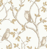 Fine Decor 2900-40639 Linden Natural Owl Wallpaper