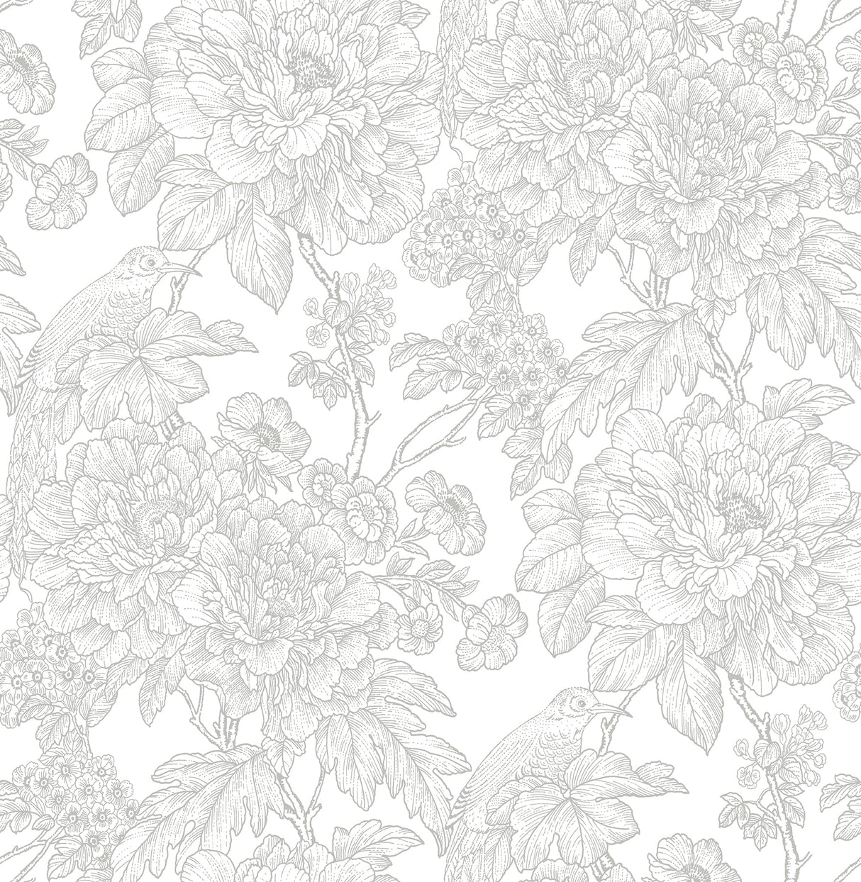 A-Street Prints 2901-25412 Birds of Paraside Breeze Grey Floral Wallpaper