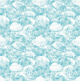 Brewster 2904-25688 Surfside Aqua Shells Wallpaper