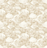 Brewster 2904-25690 Surfside Beige Shells Wallpaper