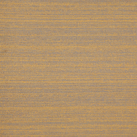 Eade’s # 536 APRICOT