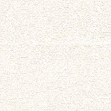 Schumacher 291-5805 ULTRALEATHER in ERMINE Fabric - ULTRALEA