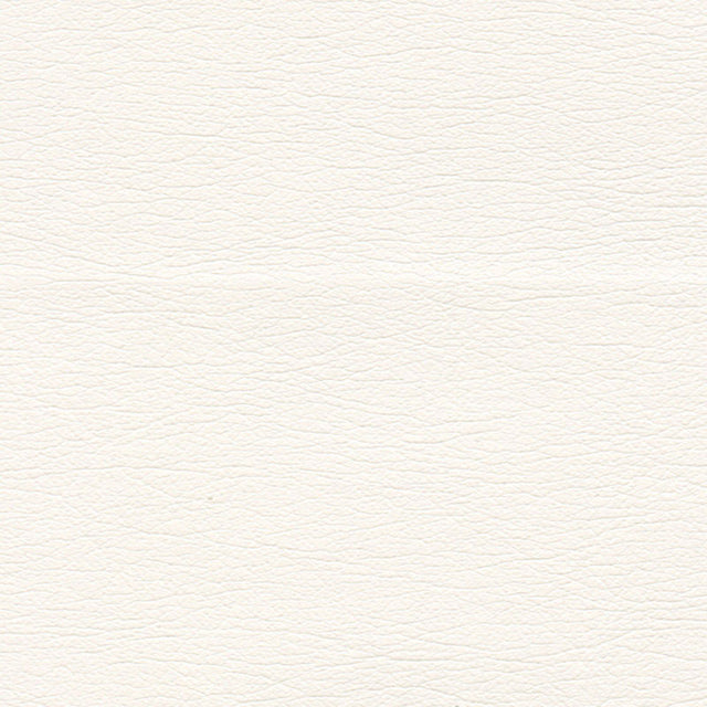 Schumacher 291-5805 ULTRALEATHER in ERMINE Fabric - ULTRALEA