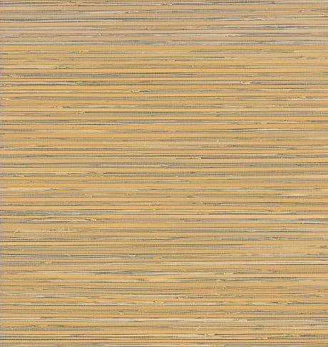 Eade’s Ushi Black Modern Grasscloth Wallpaper Black