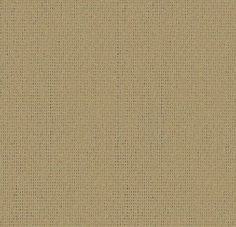Eade’s Ehuang Wheat Modern Basketweave Wallpaper Wheat