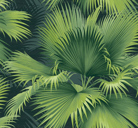 A-Street Prints 2927-40104 Summer Palm Tropical Wallpaper - Eade's Wallpaper