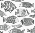 A-Street Prints 2927-80200 Wailea Tropical School Wallpaper - Eade's Wallpaper