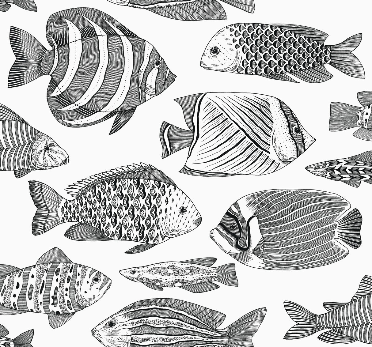 A-Street Prints 2927-80200 Wailea Tropical School Wallpaper - Eade's Wallpaper
