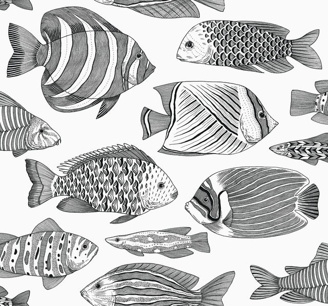 A-Street Prints 2927-80200 Wailea Tropical School Wallpaper - Eade's Wallpaper
