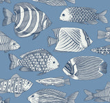 A-Street Prints 2927-80212 Wailea Sky Blue Tropical School Wallpaper