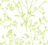 A-Street Prints 2927-80704 Southport Chartreuse Delicate Branches Wallpaper