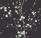 A-Street Prints 2927-81800 Monterey Black Floral Branch Wallpaper