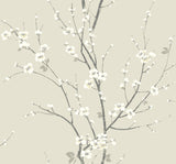A-Street Prints 2927-81805 Monterey Ivory Floral Branch Wallpaper
