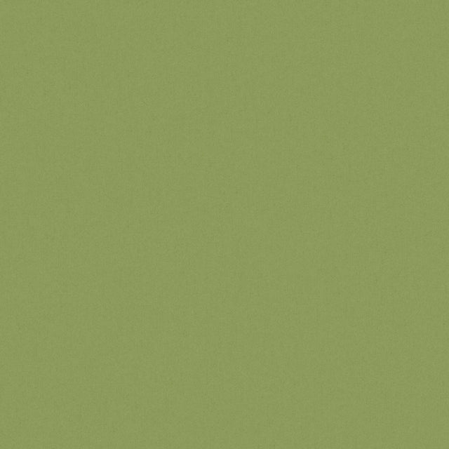 Eade’s # 519 HEDGE