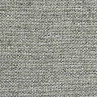 KRAVET COUTURE 29619.11.0 EVERYDAY LUX PLATINUM Fabric - Eade's Wallpaper