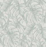 A-Street Prints 2964-87343 Balboa Olive Botanical Wallpaper
