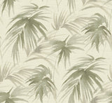 A-Street Prints 2964-87412 Darlana Sage Grasscloth Wallpaper