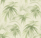 A-Street Prints 2964-87413 Darlana Green Grasscloth Wallpaper