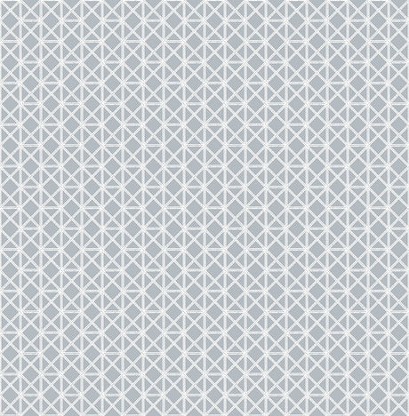 A-Street Prints 2969-26002 Lisbeth Wallpaper - Eade's Wallpaper