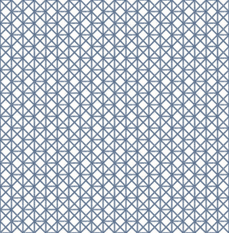 A-Street Prints 2969-26005 Lisbeth Wallpaper - Eade's Wallpaper