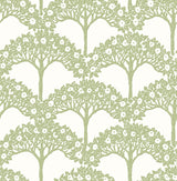 A-Street Prints 2970-26114 Dawson Green Magnolia Tree Wallpaper