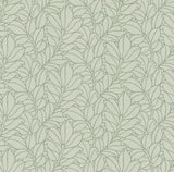 A-Street Prints 2971-86320 Coraline Green Leaf Wallpaper