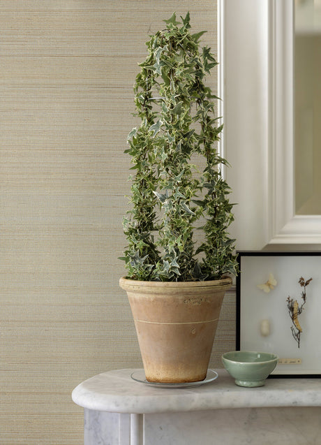 Eade’s Hiromi Champagne Abaca Grasscloth Wallpaper Champagne