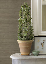 Eade’s Battan Olive Jute Grasscloth Wallpaper Olive