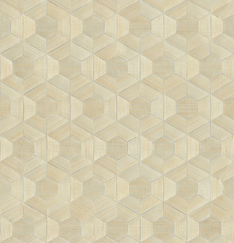 Eade’s Linzhi Metallic Abaca Grasscloth Inlay Wallpaper Meta