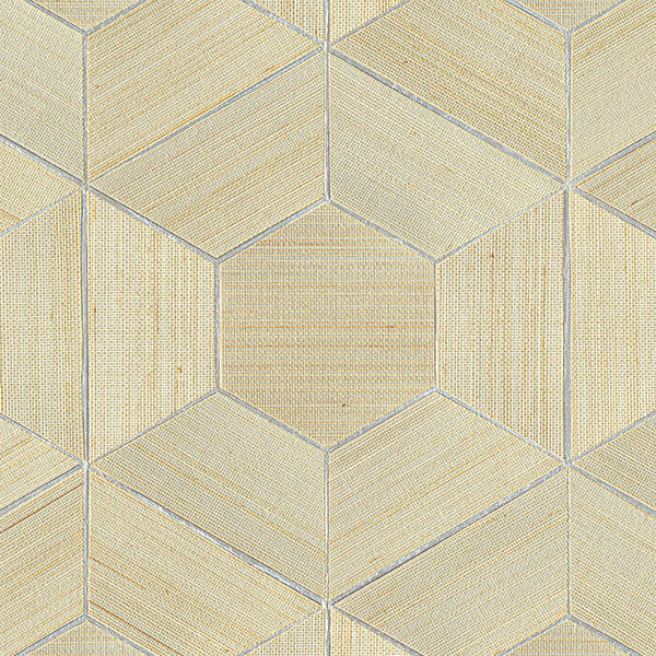 Eade’s Linzhi Metallic Abaca Grasscloth Inlay Wallpaper Meta