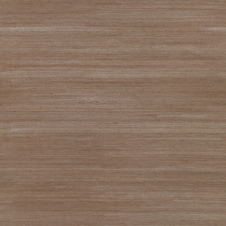 Eade’s Caihon Rust Sisal Grasscloth Wallpaper Rust